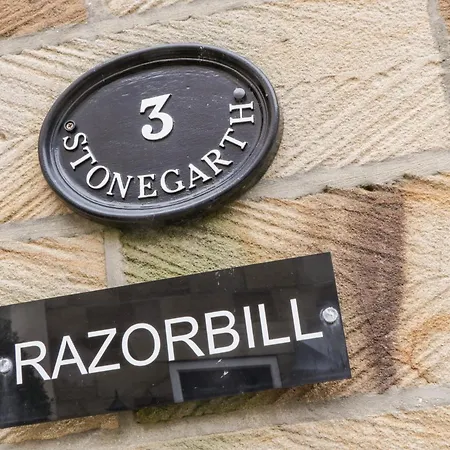 Razorbill Holiday home Whitby
