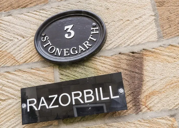 Razorbill Holiday home Whitby